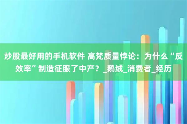 炒股最好用的手机软件 高梵质量悖论：为什么“反效率”制造征服了中产？_鹅绒_消费者_经历