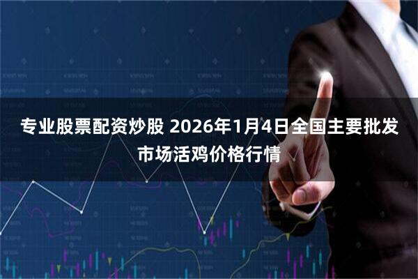 专业股票配资炒股 2026年1月4日全国主要批发市场活鸡价格行情